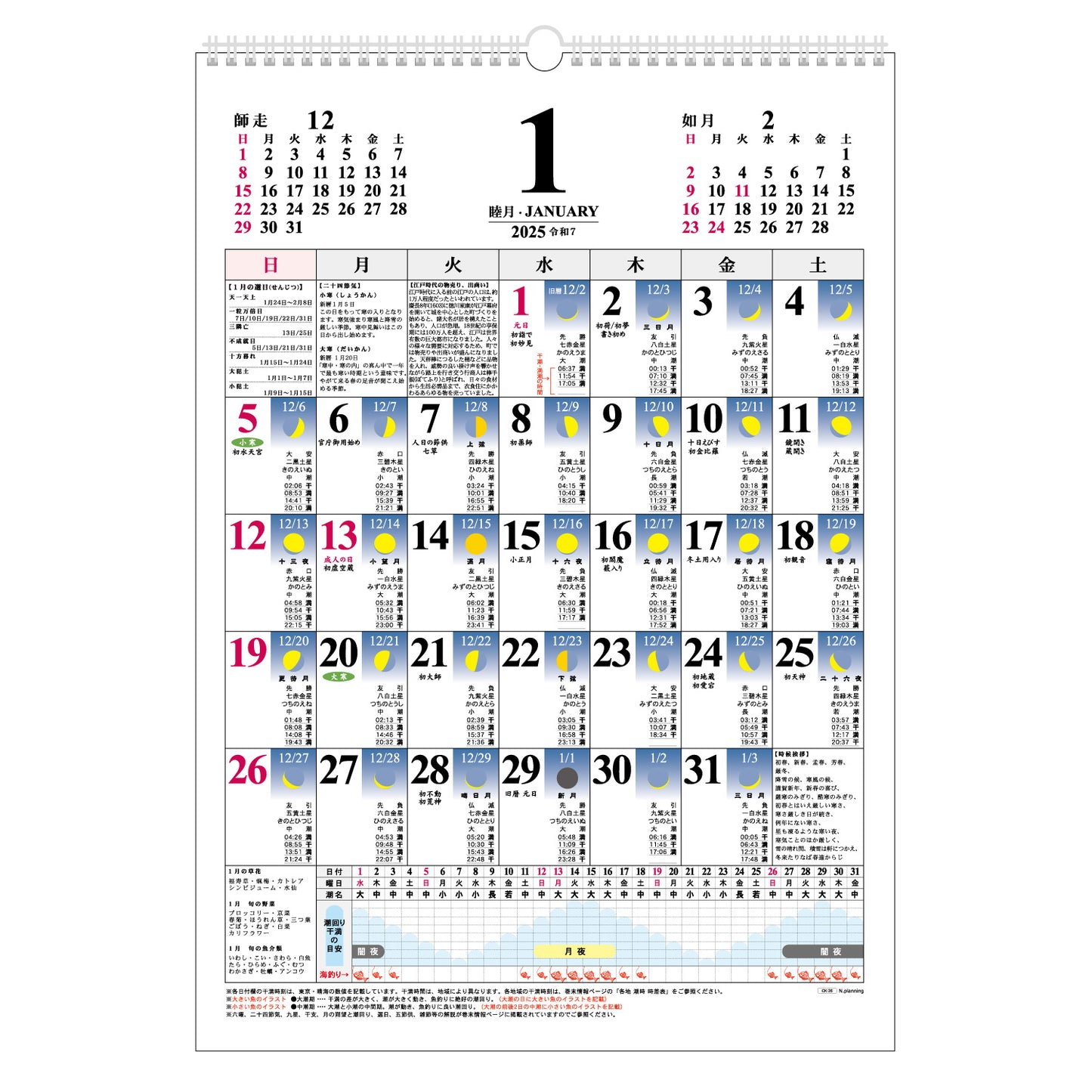 2025年 壁掛カレンダー 1月始まり B3 月ごよみ CK-26