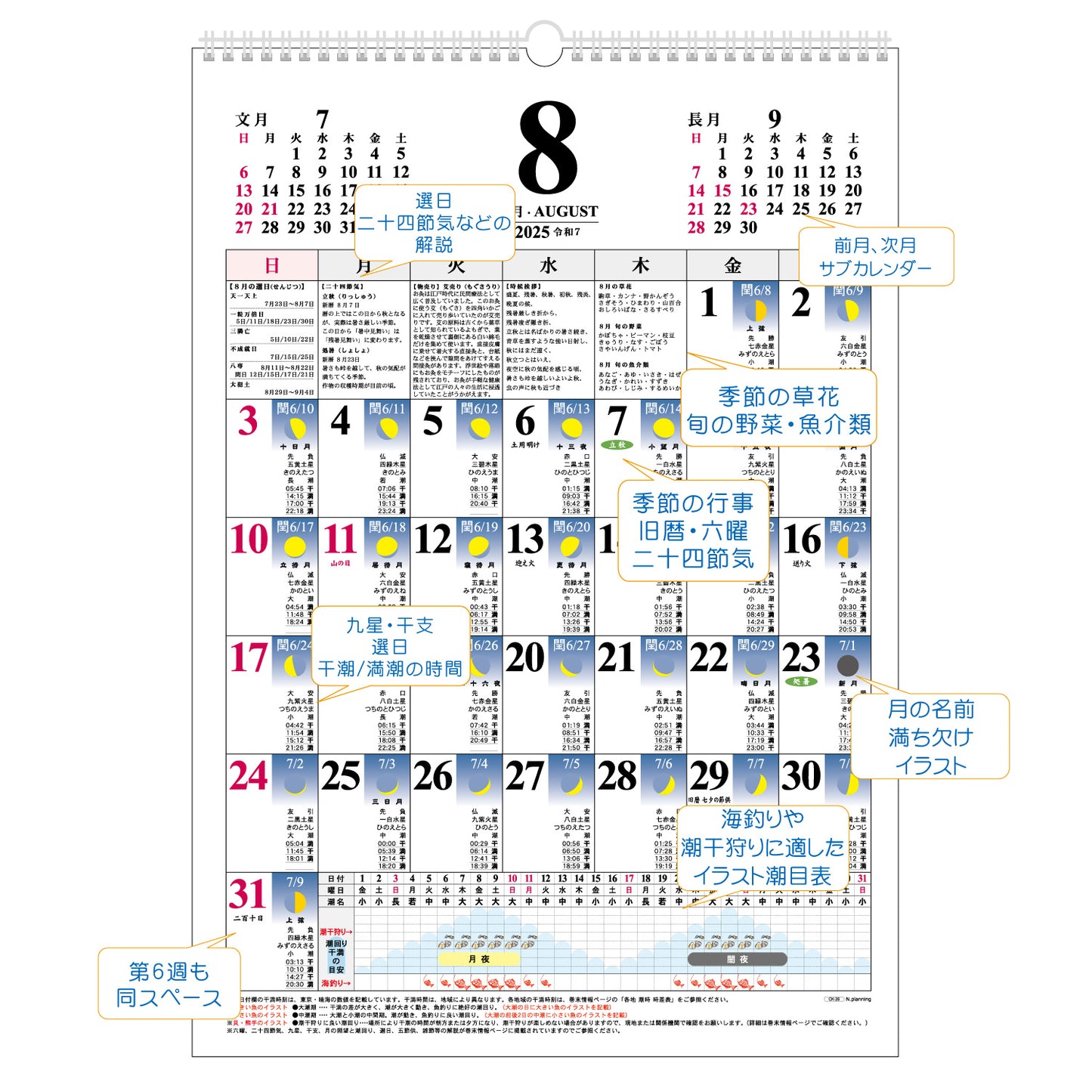 2025年 壁掛カレンダー 1月始まり B3 月ごよみ CK-26