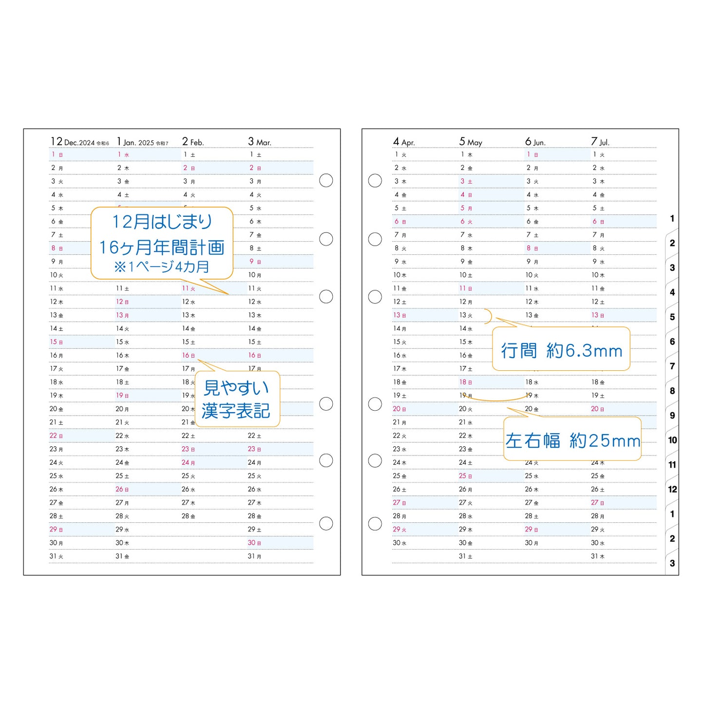 2025 NOW ON DAYS A5 6穴日付入リフィル 月間ブルーポイント AFD-31