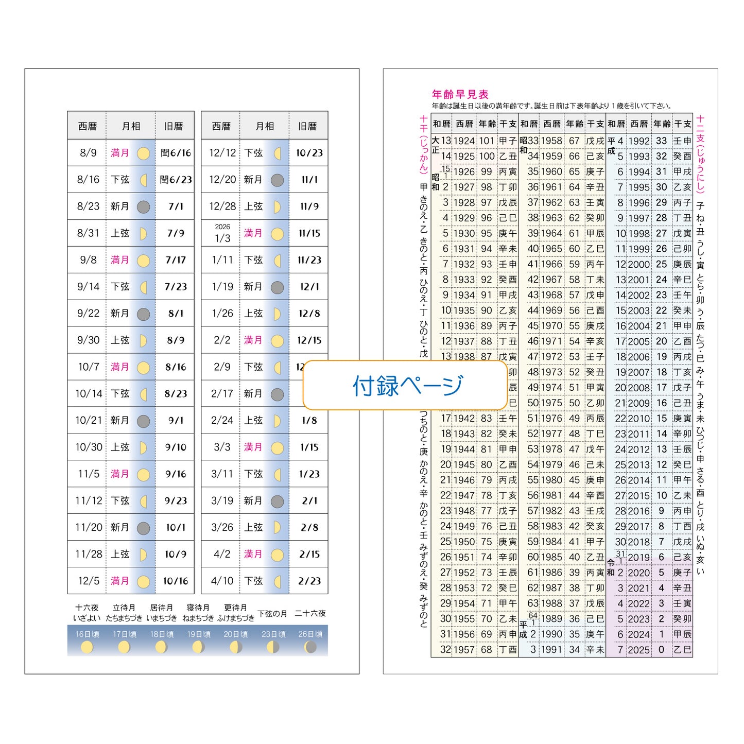 2025 NOW ON DAYS バイブル 6穴日付入リフィル 月間ブルーポイント BD-31