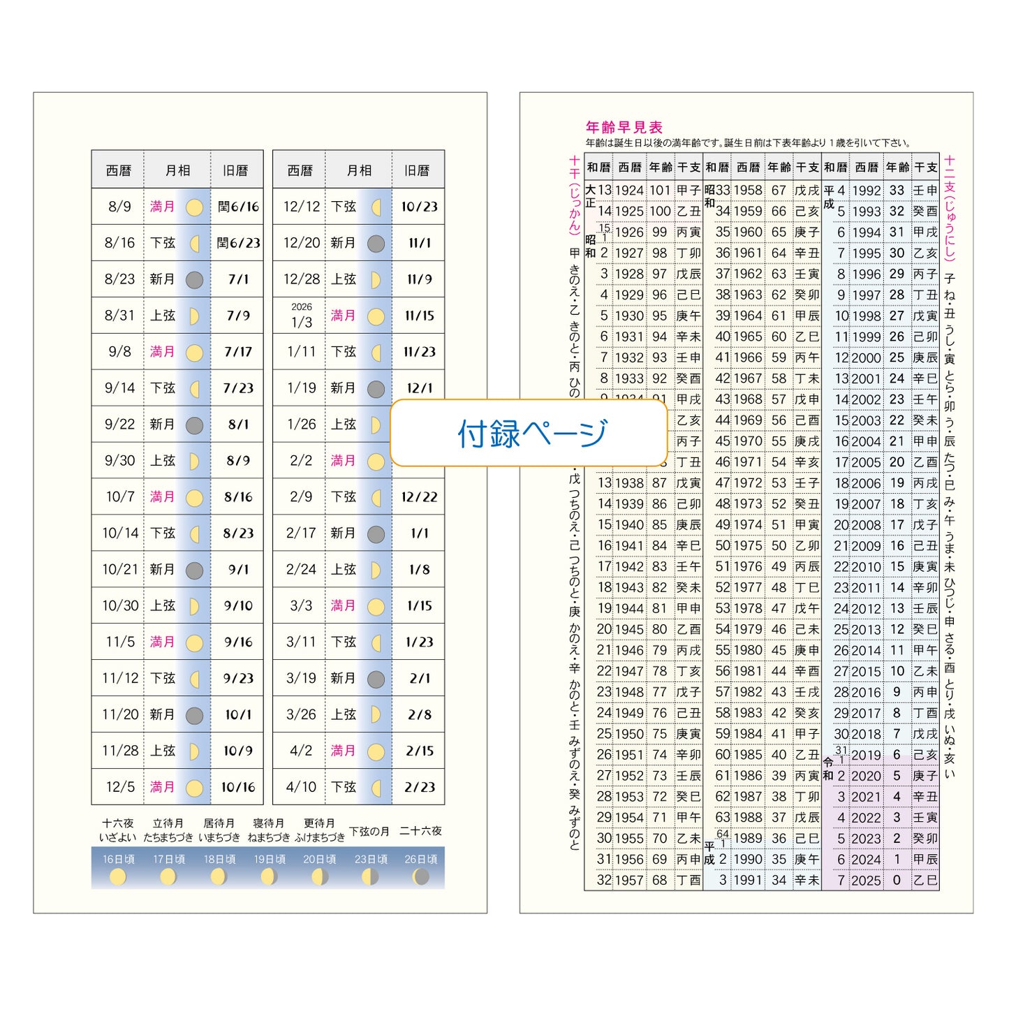 2025 NOW ON DAYS バイブル 6穴日付入リフィル 月間ニューオールド BD-32